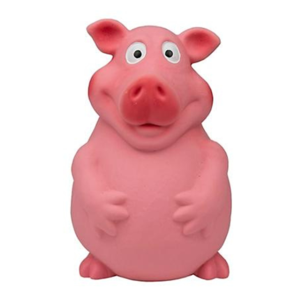 Territory Latex Pig Squeaker Dog Toy on Sale