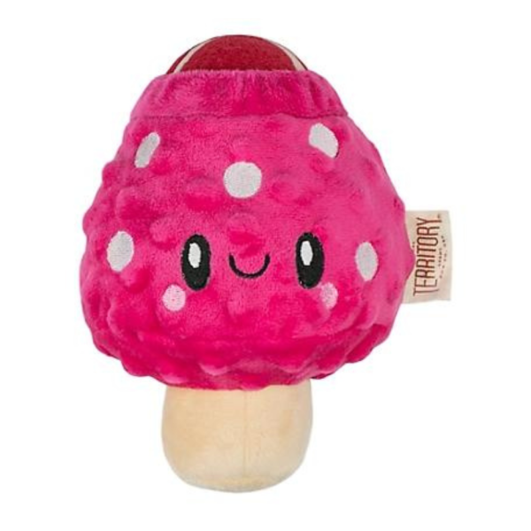 Territory Mushroom 2-in-1 Dog Toy Discount