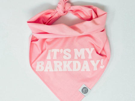 Camp Hound It s My BarkDay Dog Bandana Pink Online