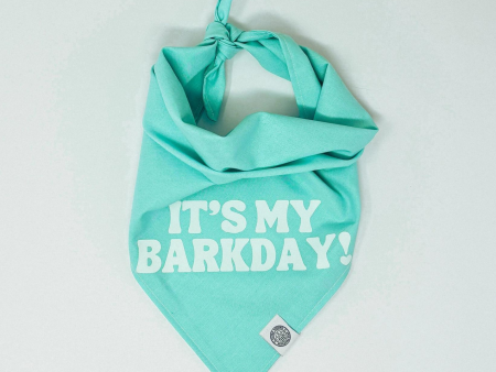 Camp Hound It s My BarkDay Dog Bandana Teal Cheap