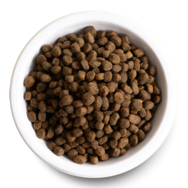 Open Farm Ancient Grains Grass-Fed Beef Dry Dog Food Supply