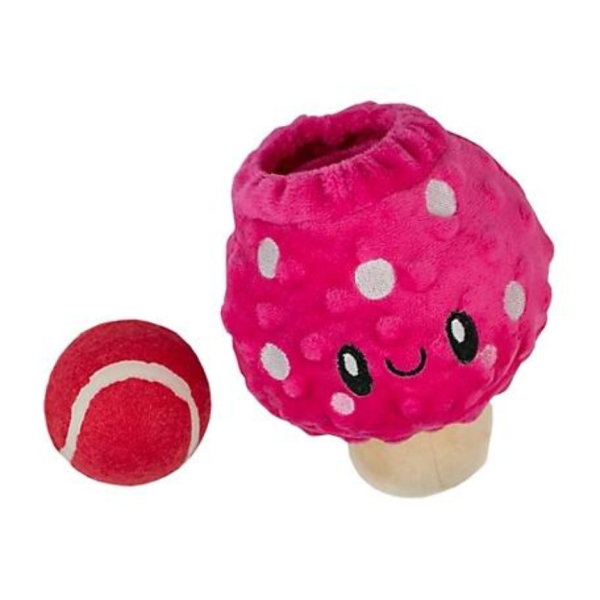 Territory Mushroom 2-in-1 Dog Toy Discount