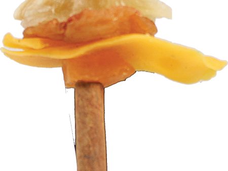 A&e Cage Company - Happy Beaks Fruit On Cinnamon Skewer Bird Treat For Discount