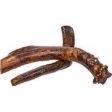 Redbarn Pet Products Inc - Bully Coated Antler Solid Online Sale