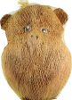 A&e Cage Company - Java Wood Coco Owl Head Bird Toy Online